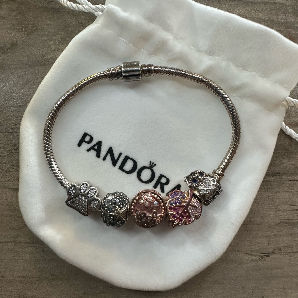 Pandora Charm Bracelet
